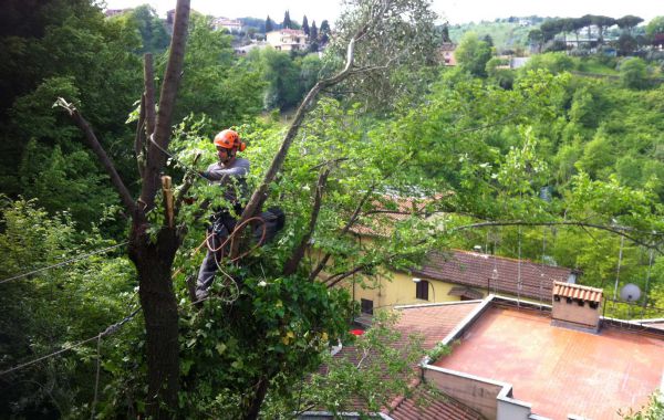 interventi-su-scarpate-e-pareti-in-roccia-ediliziasufune-02