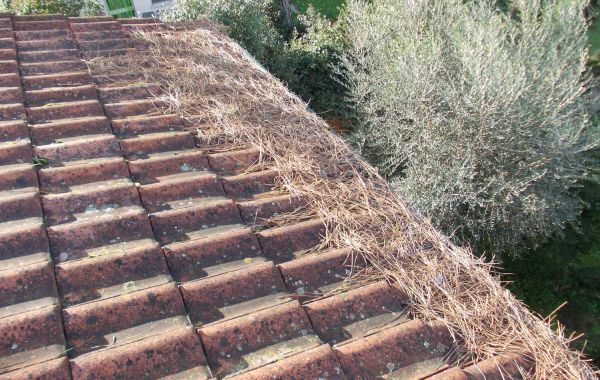 pulizia-gronde-coperture-ediliziasufune-06